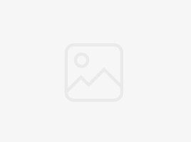 'Dummy' Beyond the Clicks: The Rise of Interactive Entertainment